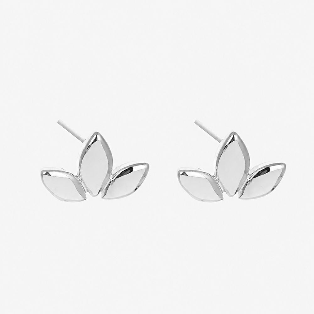 Clariona Silver