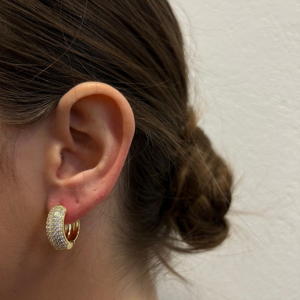 Soleene hoops